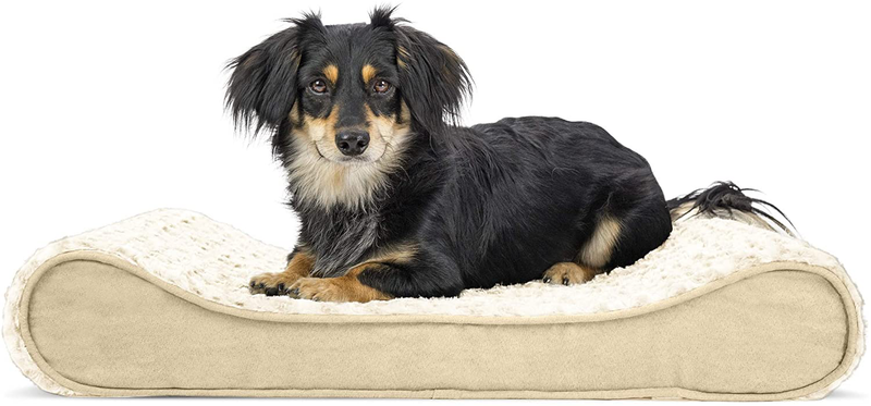 Furhaven Orthopedic, Cooling Gel, and Memory Foam Pet Beds for Small, Medium, and Large Dogs - Ergonomic Contour Luxe Lounger Dog Bed Mattress and More Animals & Pet Supplies > Pet Supplies > Dog Supplies > Dog Beds Furhaven Pet Products, Inc Ultra Plush Cream Contour Bed (Orthopedic Foam) Medium (Pack of 1)