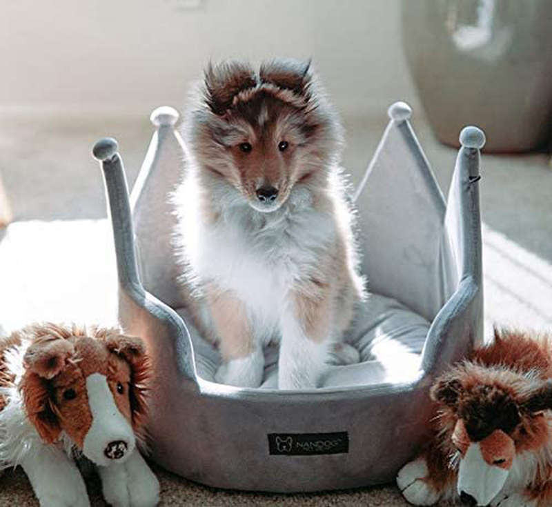 NANDOG PET Gear Crown Dog and Cat Bed Collection for Small Breeds - Made of Ultra Soft Micro-Plush Material