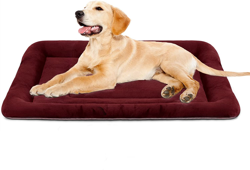Dog Bed Large Crate Mat 42 in Non-Slip Washable Soft Mattress Kennel Pads Animals & Pet Supplies > Pet Supplies > Dog Supplies > Dog Beds JoicyCo Wine Red 36" 