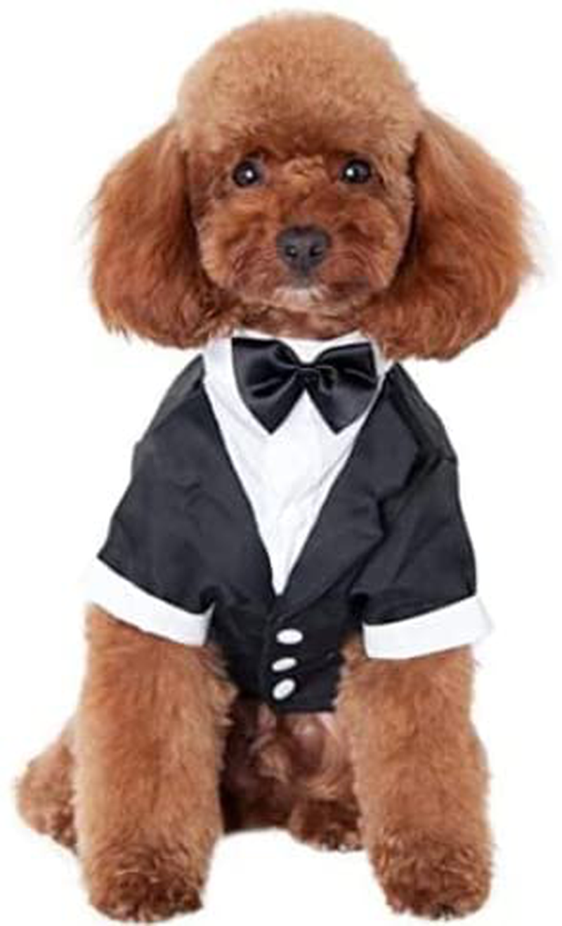 Kuoser Dog Shirt Puppy Pet Small Dog Clothes, Stylish Suit Bow Tie Costume, Wedding Shirt Formal Tuxedo with Black Tie, Dog Prince Wedding Bow Tie Suit Animals & Pet Supplies > Pet Supplies > Dog Supplies > Dog Apparel Kuoser Black Plus-XXL (Chest-24'', Weight:23-32lb) 