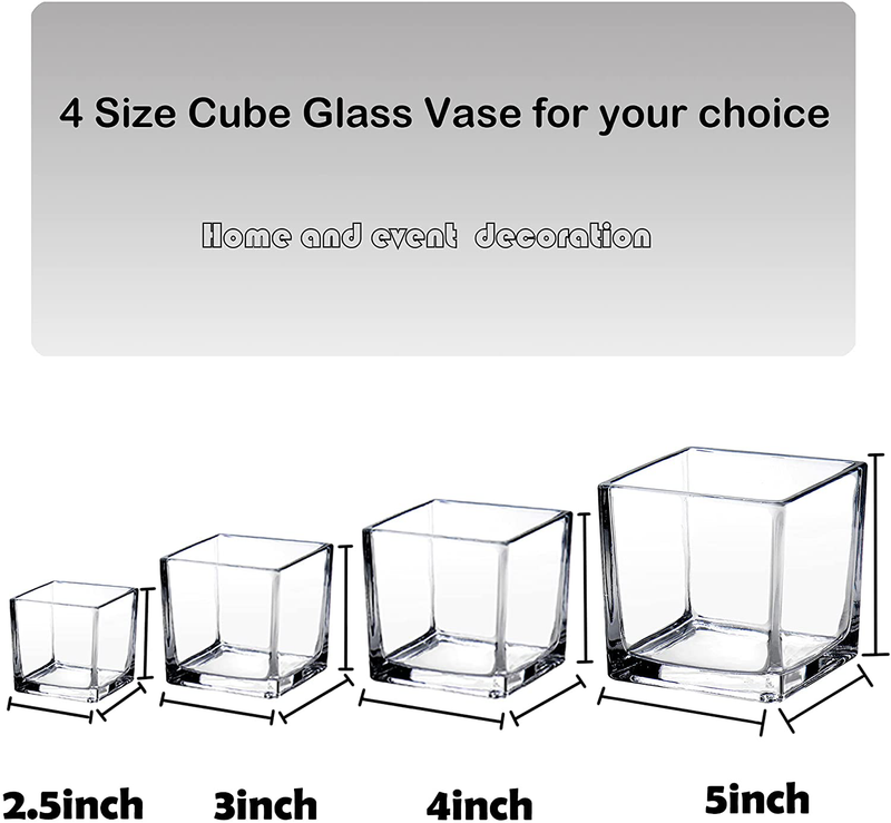 Square Glass Vase Clear Flower Decorative Centerpiece for Home or Wedding, Candle Holder, 3" x 3", Set of 6 Home & Garden > Decor > Vases plant   