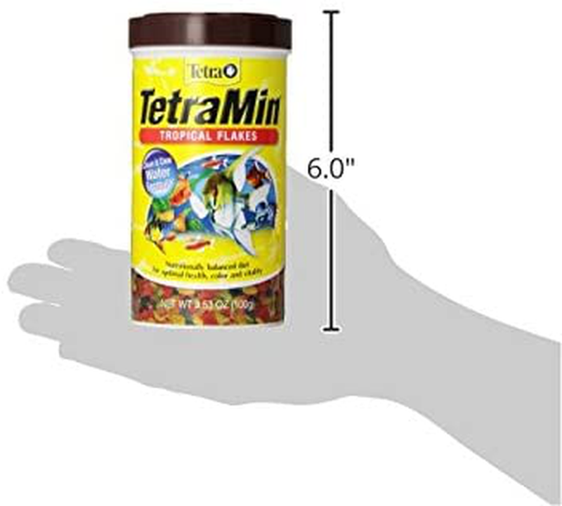 TetraMin Large Tropical Flakes For Top or Mid Feeders Animals & Pet Supplies > Pet Supplies > Fish Supplies > Fish Food Tetra   