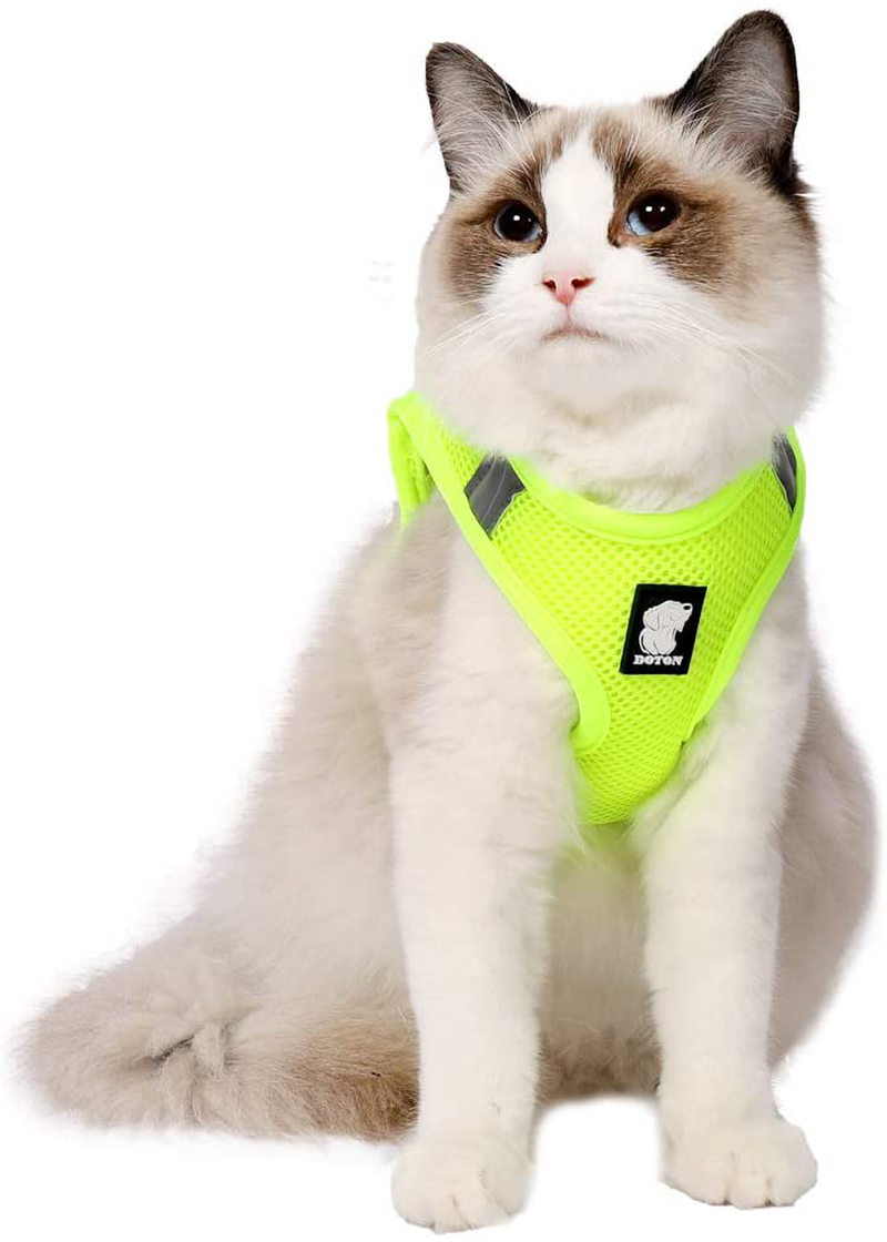 Heywean Cat Harness and Leash - Ultra Light Escape Proof Kitten Collar Cat Walking Jacket with Running Cushioning Soft and Comfortable Suitable for Puppies Rabbits Animals & Pet Supplies > Pet Supplies > Cat Supplies > Cat Apparel HEYWEAN Fruit green Large (Pack of 1) 