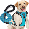 tobeDRI No Pull Dog Harness Adjustable Reflective Oxford Easy Control Medium Large Dog Harness with A Free Heavy Duty 5ft Dog Leash (S (Neck: 13"-18", Chest: 17.5"-22"), Blue Harness+Leash) Animals & Pet Supplies > Pet Supplies > Dog Supplies tobeDRI Blue harness+leash S (Chest: 17.5"-21") 