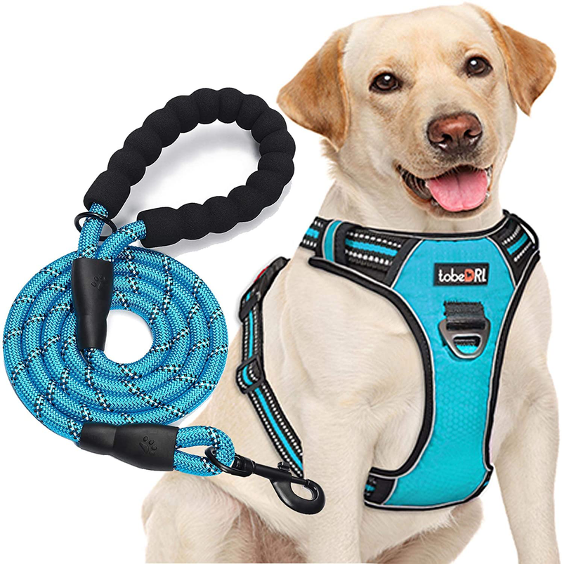 tobeDRI No Pull Dog Harness Adjustable Reflective Oxford Easy Control Medium Large Dog Harness with A Free Heavy Duty 5ft Dog Leash (S (Neck: 13"-18", Chest: 17.5"-22"), Blue Harness+Leash) Animals & Pet Supplies > Pet Supplies > Dog Supplies tobeDRI Blue harness+leash S (Chest: 17.5"-21") 