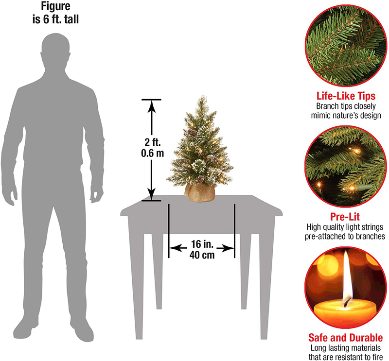 National Tree Company Pre-lit Artificial Mini Christmas Tree | Includes Small LED Lights, White Tipped, Glitter Branches Cones and Cloth Bag Base | Glittery Bristle Pine-2, 2 Foot, Green Home & Garden > Decor > Seasonal & Holiday Decorations& Garden > Decor > Seasonal & Holiday Decorations National Tree Company   