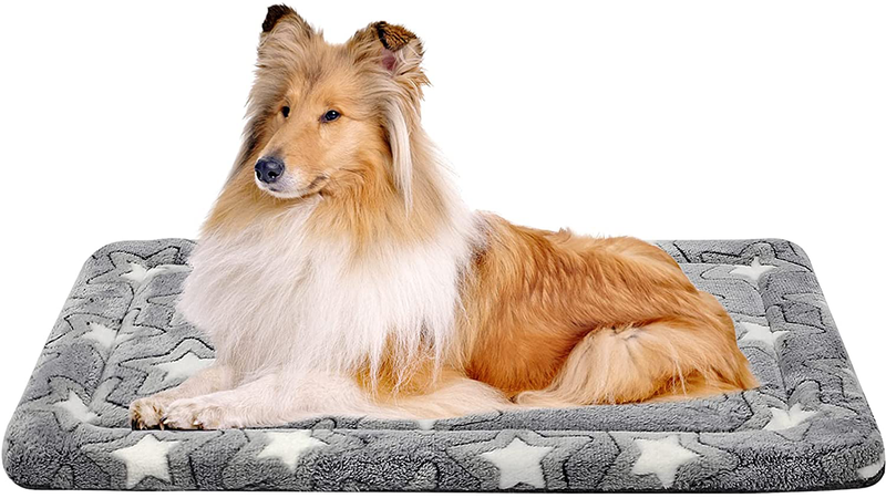 EMPSIGN Fancy Dog Bed Mat, Pet Bed Pad Reversible (Warm & Cool), Machine Washable Crate Pad, Pet Sleeping Mat for Small to Xxx-Large Dogs, Grey, Star Pattern Animals & Pet Supplies > Pet Supplies > Dog Supplies > Dog Beds EMPSIGN XXL (48"x30"x1.1")  