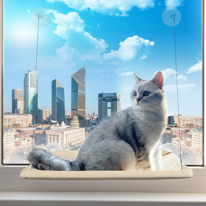 PETPAWJOY Cat Bed, Cat Window Perch Window Seat Suction Cups Space Saving Cat Hammock Pet Resting Seat Safety Cat Shelves - Providing All around 360° Sunbath for Cats Weightedup to 30Lb Animals & Pet Supplies > Pet Supplies > Cat Supplies > Cat Apparel PETPAWJOY   