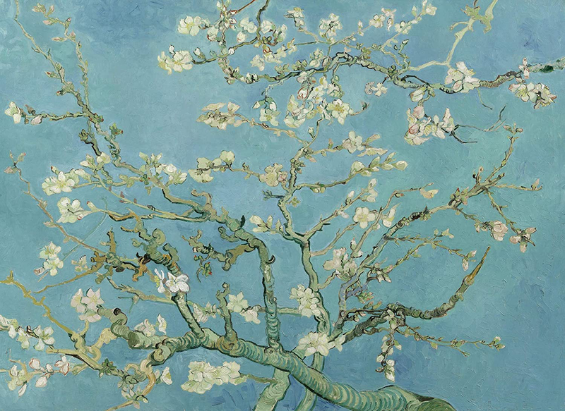Palacelearning Vincent Van Gogh Almond Blossom Poster Print - 1890 - Fine Art Wall Decor (18" X 24", Laminated)