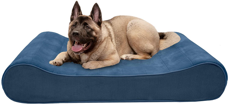 Furhaven Orthopedic, Cooling Gel, and Memory Foam Pet Beds for Small, Medium, and Large Dogs - Ergonomic Contour Luxe Lounger Dog Bed Mattress and More Animals & Pet Supplies > Pet Supplies > Dog Supplies > Dog Beds Furhaven Pet Products, Inc Microvelvet Stellar Blue Contour Bed (Memory Foam) Jumbo Plus (Pack of 1)