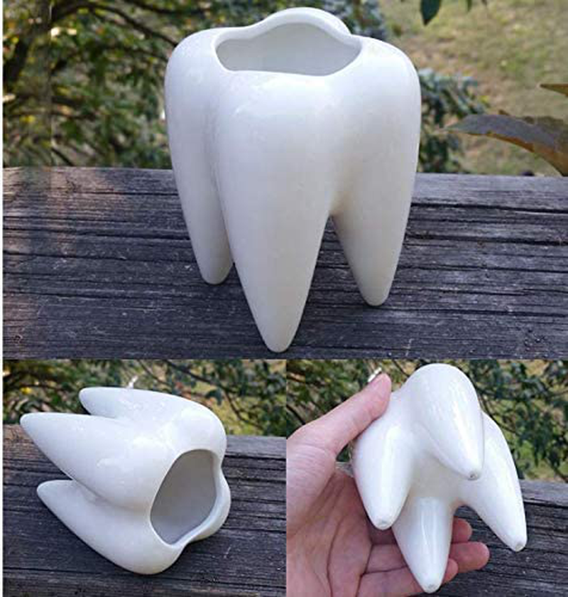 Cute Tooth Shaped Ceramic Succulent Cactus Flower Pot (Plants Not Included) (1) Home & Garden > Decor > Vases Cuteforyou   