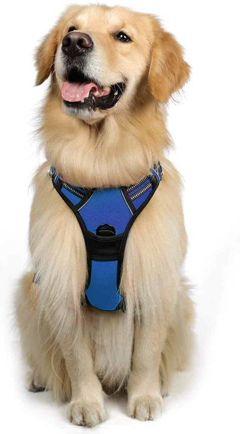 rabbitgoo Dog Harness, No-Pull Pet Harness with 2 Leash Clips, Adjustable Soft Padded Dog Vest, Reflective No-Choke Pet Oxford Vest with Easy Control Handle for Large Dogs, Black, XL  rabbitgoo Navy Blue Large 