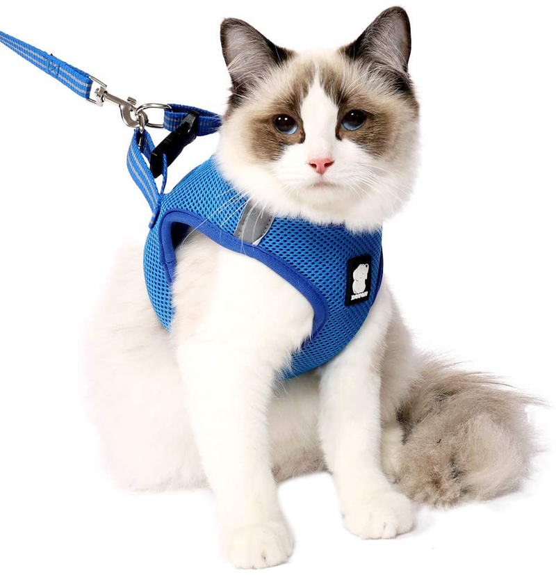 Heywean Cat Harness and Leash - Ultra Light Escape Proof Kitten Collar Cat Walking Jacket with Running Cushioning Soft and Comfortable Suitable for Puppies Rabbits Animals & Pet Supplies > Pet Supplies > Cat Supplies > Cat Apparel HEYWEAN Lake blue Large (Pack of 1) 