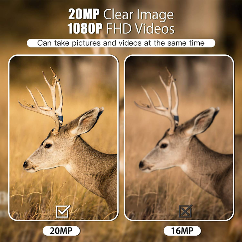 Mini Trail Camera,【2 Pack】 20MP 1080P with 32GB Card Game Cameras with Night Vision Motion Activated Waterproof Hunting Camera 80FT Detection Distance for Wildlife Monitoring  AiBast   