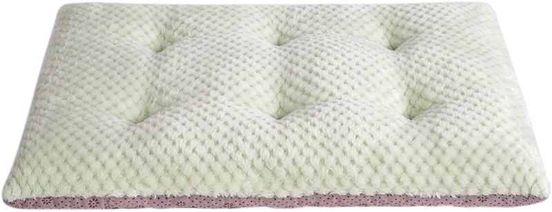 Fuzzy Deluxe Pet Beds, Super Plush Dog or Cat Beds Ideal for Dog Crates, Machine Wash & Dryer Friendly Animals & Pet Supplies > Pet Supplies > Dog Supplies > Dog Beds WONDER MIRACLE S-Pastel Green 15" x 23" 