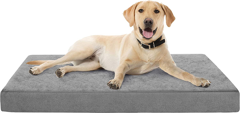 Petorrey Plush Memory Foam Orthopedic Dog Bed for Medium, Large Dogs with Cooling Gel, Washable Dog Crate Mat, Removable Cover & Waterproof Lining Animals & Pet Supplies > Pet Supplies > Dog Supplies > Dog Beds PETORREY Plush Surface Large (35”x 22”x 3”) 