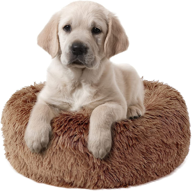 Fluffy Dog Bed for Small Dogs and Cats,Original Calming Donut Dog Bed,Washable Cozy Dog Bed with Extra Soft Anti-Slip Bottom, Self Warming Styles&Multiple Size 24＂ Animals & Pet Supplies > Pet Supplies > Dog Supplies > Dog Beds Queeplo Brown  