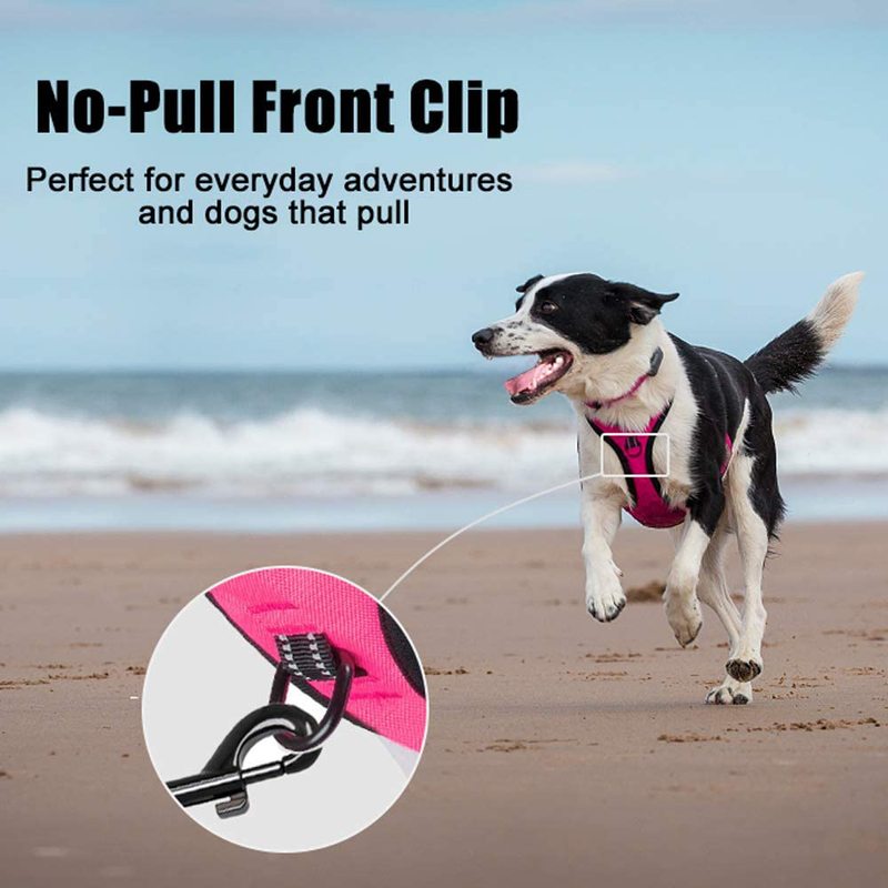 PoyPet No Pull Dog Harness, Reflective Vest Harness with 2 Leash Attachments and Easy Control Handle for Small Medium Large Dog Animals & Pet Supplies > Pet Supplies > Dog Supplies PoyPet   