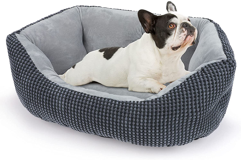 INVENHO Dog Beds for Small Dogs, Calming Cat Beds for Indoor Cats, Washable Soft Sleeping Small Dog Bed, round Cushion Pet Bed, Anti-Slip Bottom Durable Orthopedic Puppy Bed, 20/25Inches