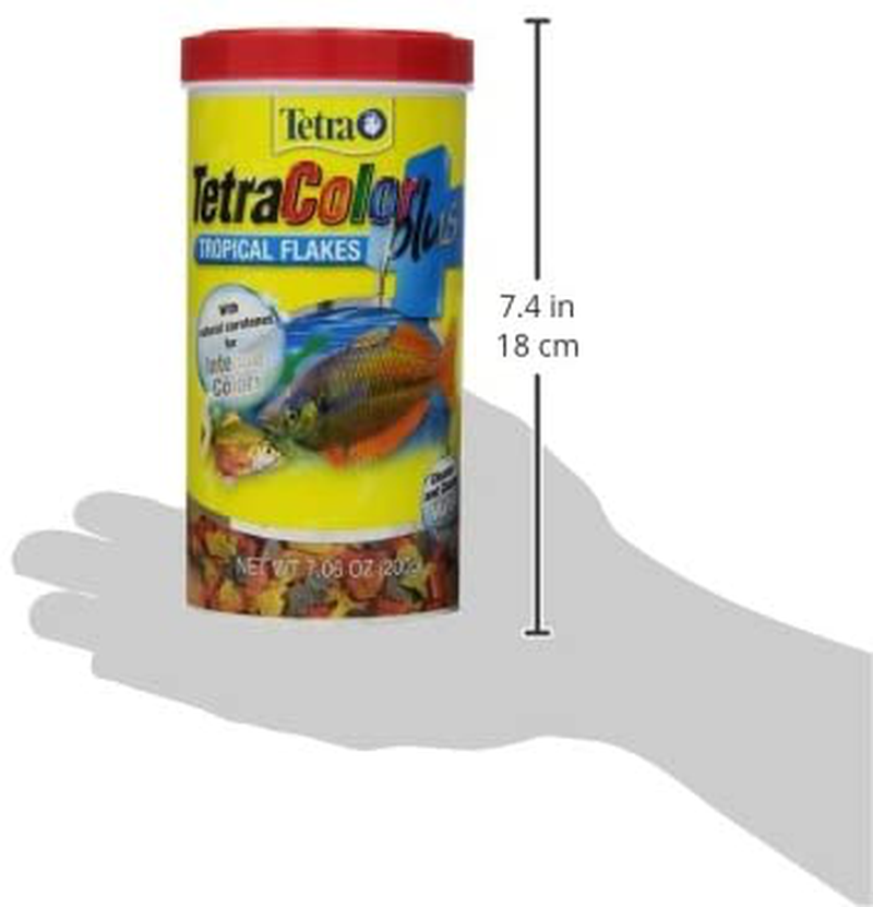 TetraColor Plus Tropical Flakes with Color Enhancing Animals & Pet Supplies > Pet Supplies > Fish Supplies > Fish Food Tetra   