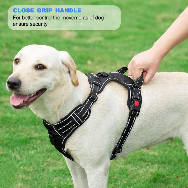 tobeDRI No Pull Dog Harness Adjustable Reflective Oxford Easy Control Medium Large Dog Harness with A Free Heavy Duty 5ft Dog Leash (S (Neck: 13"-18", Chest: 17.5"-22"), Blue Harness+Leash) Animals & Pet Supplies > Pet Supplies > Dog Supplies tobeDRI   