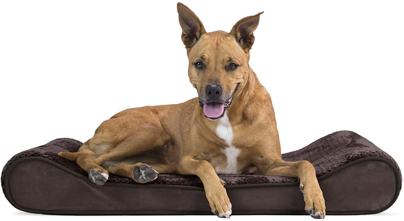 Furhaven Orthopedic, Cooling Gel, and Memory Foam Pet Beds for Small, Medium, and Large Dogs - Ergonomic Contour Luxe Lounger Dog Bed Mattress and More Animals & Pet Supplies > Pet Supplies > Dog Supplies > Dog Beds Furhaven Pet Products, Inc Minky Espresso Contour Bed (Orthopedic Foam) Large (Pack of 1)