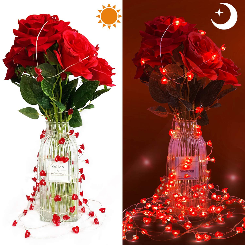 Further Further 2 Pcs 13.1Ft 40 LED Valentine'S Day Heart Shape String Lights for Valentines Day Decoration Indoor Outdoor Wedding Anniversary Party with Remote & Timer Home & Garden > Decor > Seasonal & Holiday Decorations Further Further   