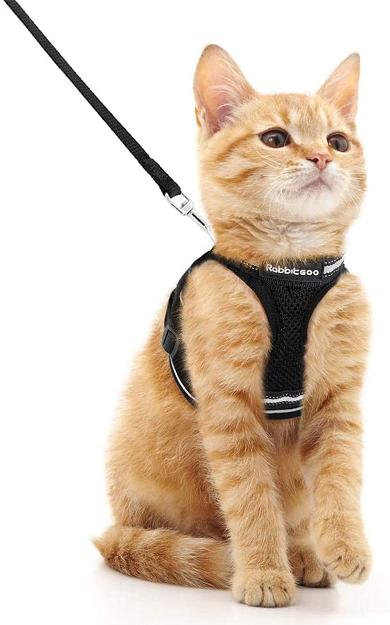 rabbitgoo Cat Harness and Leash Set for Walking Escape Proof, Adjustable Soft Kittens Vest with Reflective Strip for Cats, Comfortable Outdoor Vest, Black, S (Chest:9.0"-12.0") Animals & Pet Supplies > Pet Supplies > Cat Supplies > Cat Apparel rabbitgoo Black Medium 