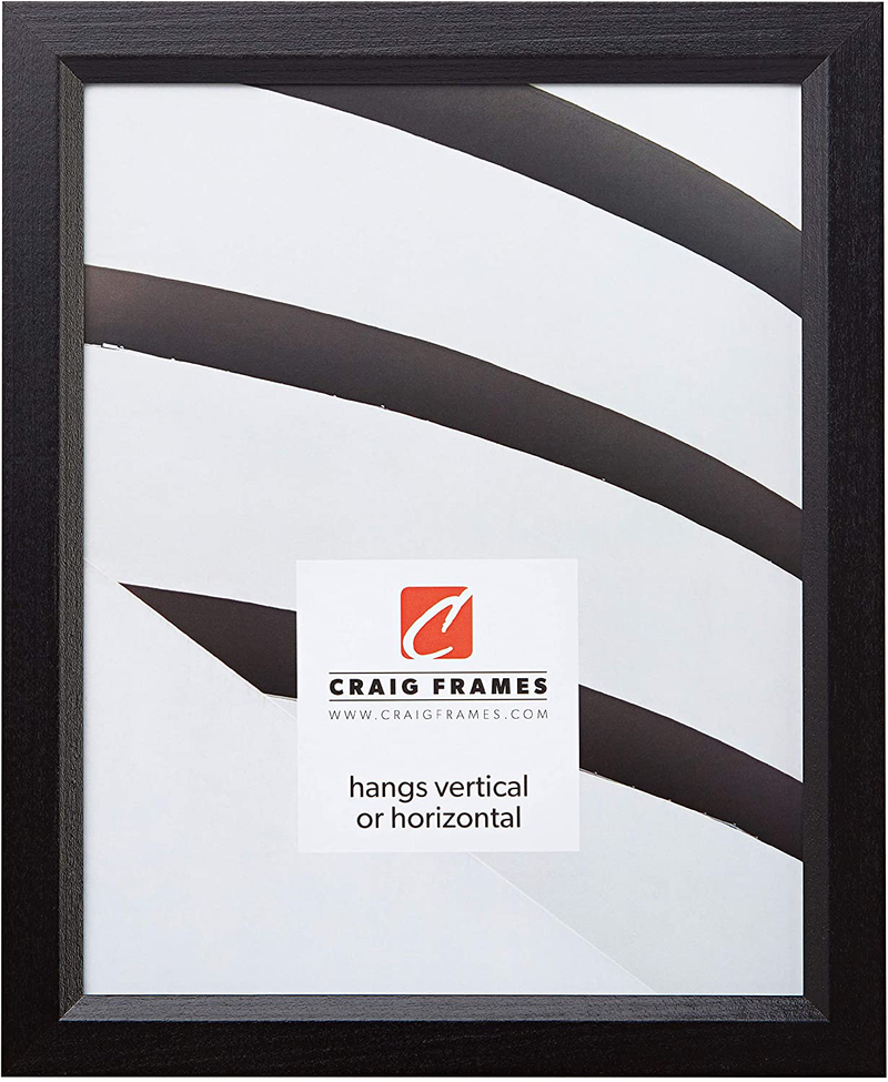 Craig Frames 7171610BK 8.5 by 11-Inch Picture Frame, Solid Wood, .825-Inch Wide, Black Home & Garden > Decor > Picture Frames Craig Frames 8.5 x 11  