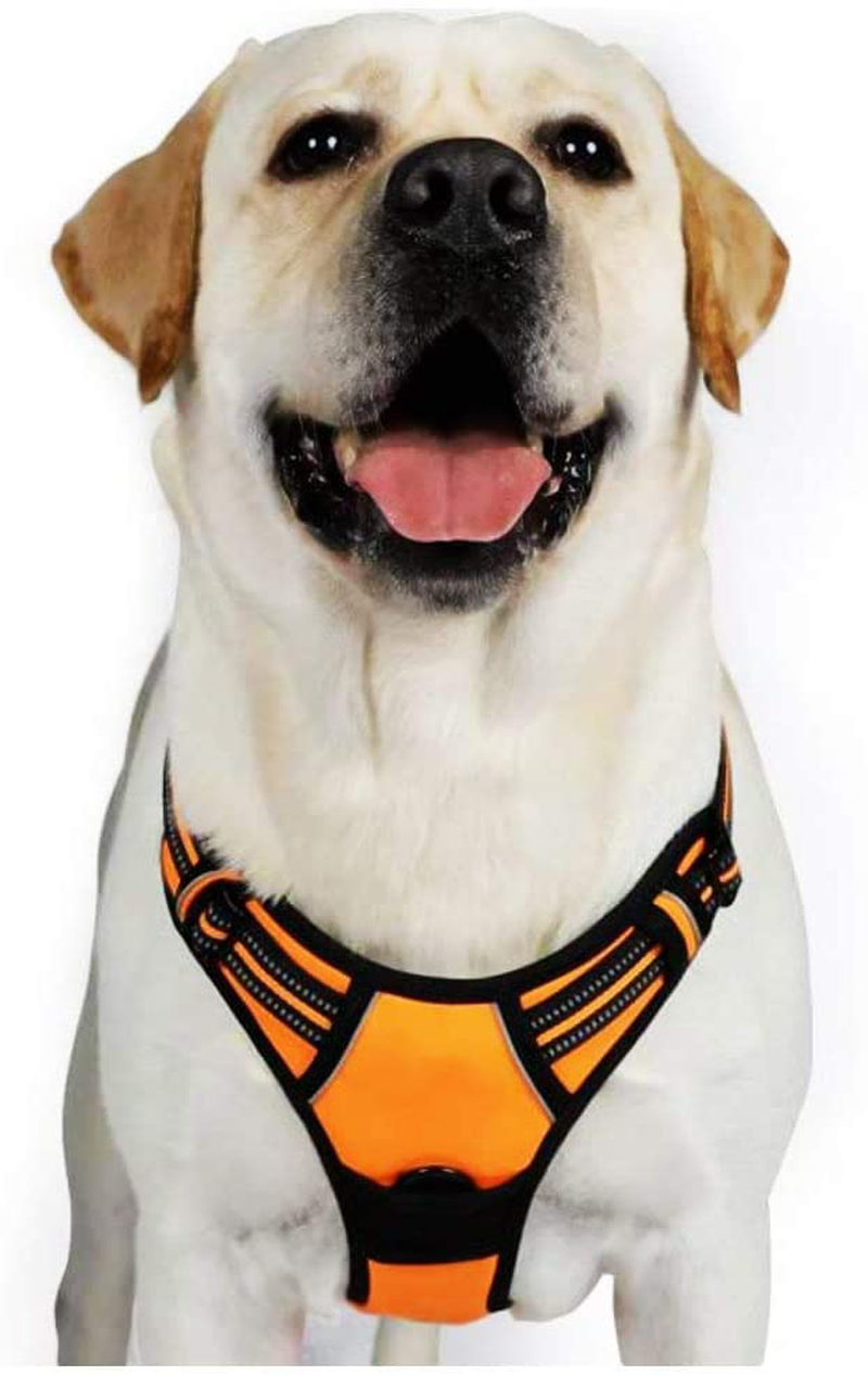 rabbitgoo Dog Harness, No-Pull Pet Harness with 2 Leash Clips, Adjustable Soft Padded Dog Vest, Reflective No-Choke Pet Oxford Vest with Easy Control Handle for Large Dogs, Black, XL  rabbitgoo Bright Pumpkin X-Large 