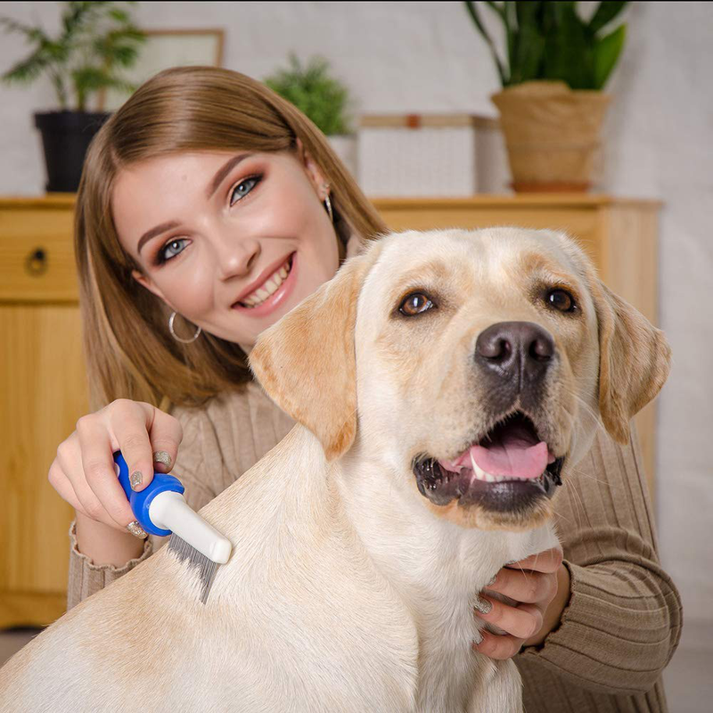 Horicon Pet 6 In 1 Premium Dog Brush Set - Dog Grooming Brushes - Ball Pin & Bristle Brush, Curved Blade Dematting Comb, Slicker Brush, Deshedding Edge Comb, Detangling Pet Comb