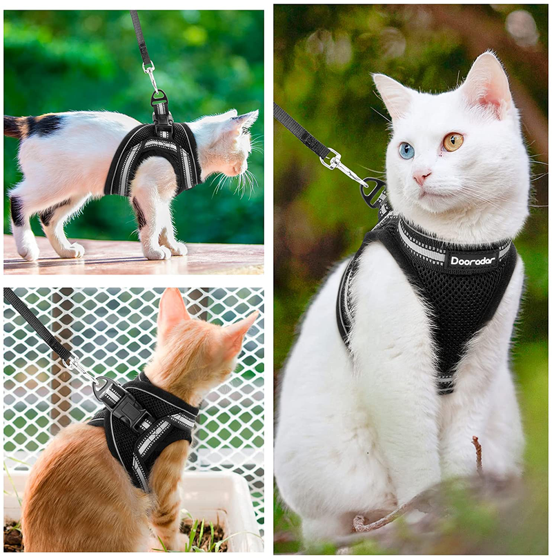 Dooradar Cat Leash and Harness Set Escape Proof Safe Cats Step-in Vest Harness for Walking Outdoor Adjustable Kitten Harness with Reflective Strip Breathable Mesh for Cat, Multiple Color Animals & Pet Supplies > Pet Supplies > Cat Supplies > Cat Apparel Dooradar   