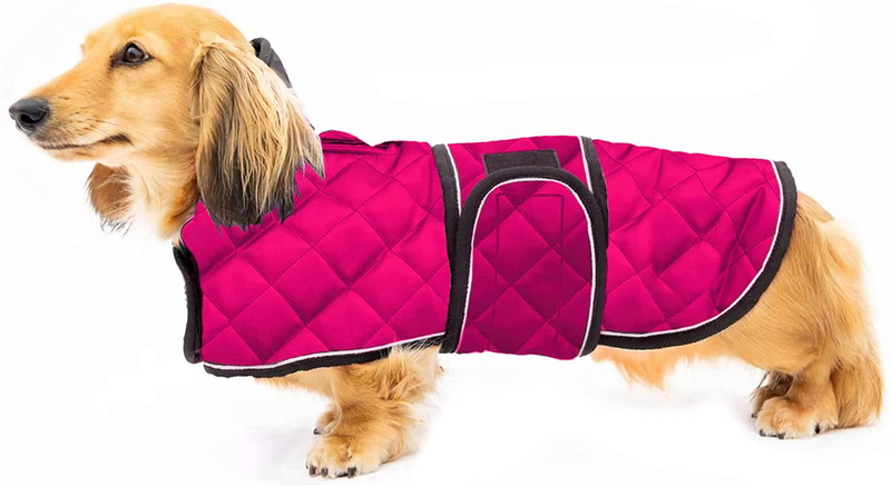 Geyecete Warm Thermal Quilted Dachshund Coat, Dog Winter Coat with Warm Fleece Lining, Outdoor Dog Apparel with Adjustable Bands for Medium, Large Dog Animals & Pet Supplies > Pet Supplies > Dog Supplies > Dog Apparel Geyecete Pink X-Large 