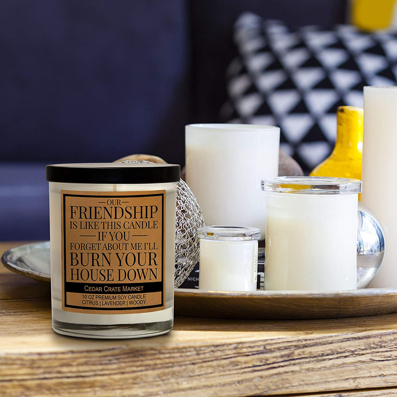 Our Friendship is Like This Candle, Best Friends Gift, Friendship Candle Gifts for Women, Funny Candles, Birthday Gifts for Friends Female, Funny Bestie Gifts for BFF, Coworker, Lavender Scented Home & Garden > Decor > Home Fragrances > Candles Cedar Crate Market   