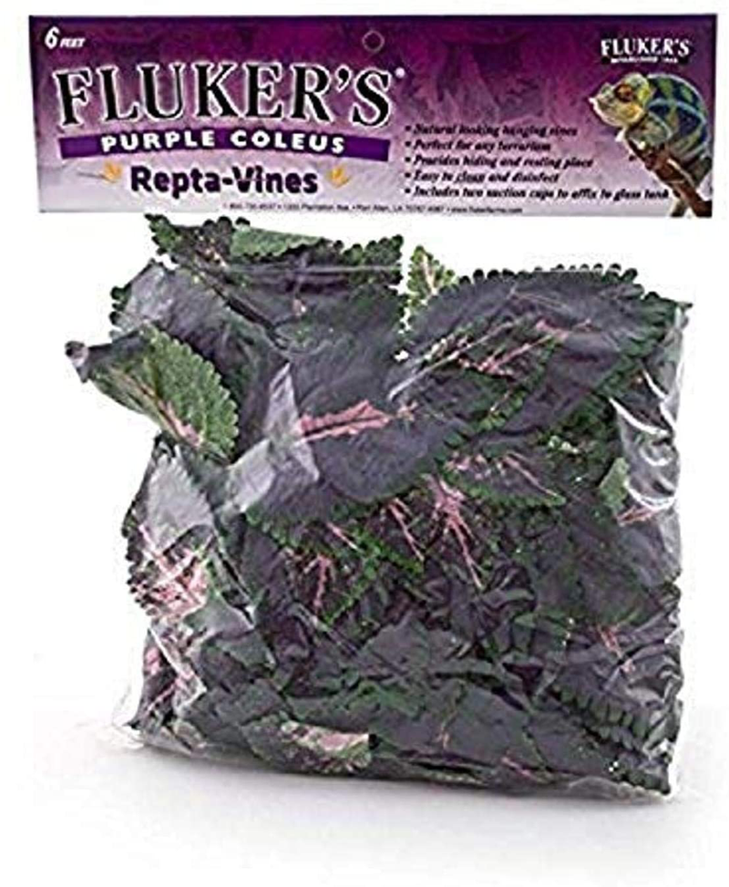 Fluker's Repta Vines for Reptiles and Amphibians Animals & Pet Supplies > Pet Supplies > Reptile & Amphibian Supplies Fluker Labs Purple Coleus  