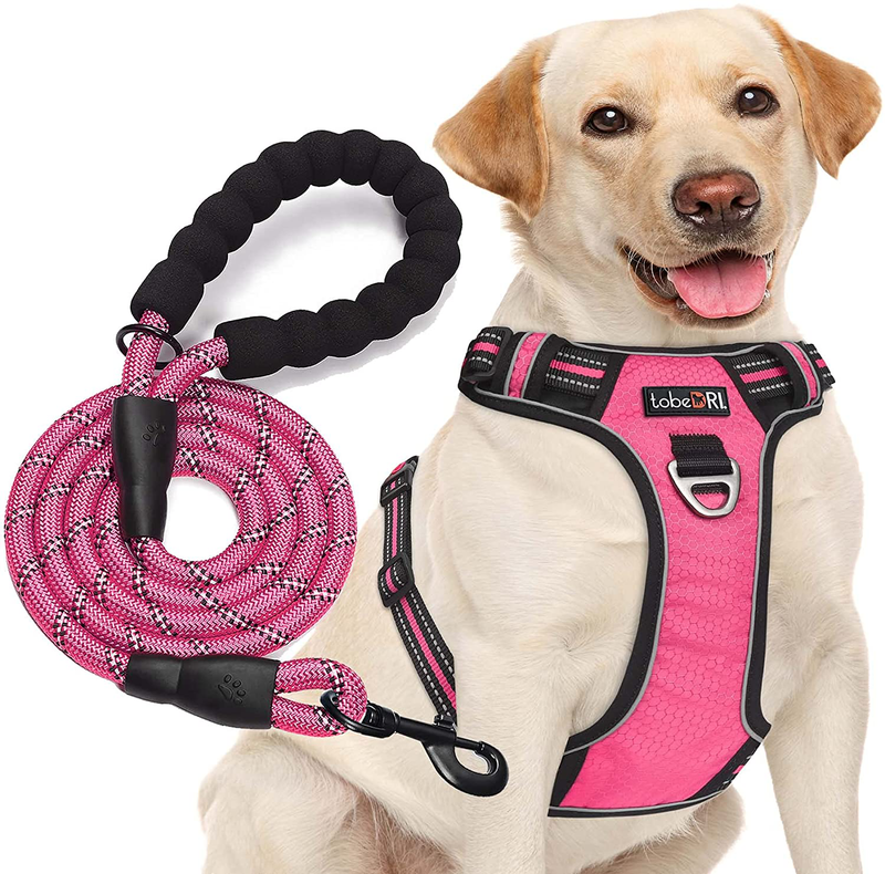 tobeDRI No Pull Dog Harness Adjustable Reflective Oxford Easy Control Medium Large Dog Harness with A Free Heavy Duty 5ft Dog Leash (S (Neck: 13"-18", Chest: 17.5"-22"), Blue Harness+Leash) Animals & Pet Supplies > Pet Supplies > Dog Supplies tobeDRI Pink harness+leash XL (Chest: 31"-39") 