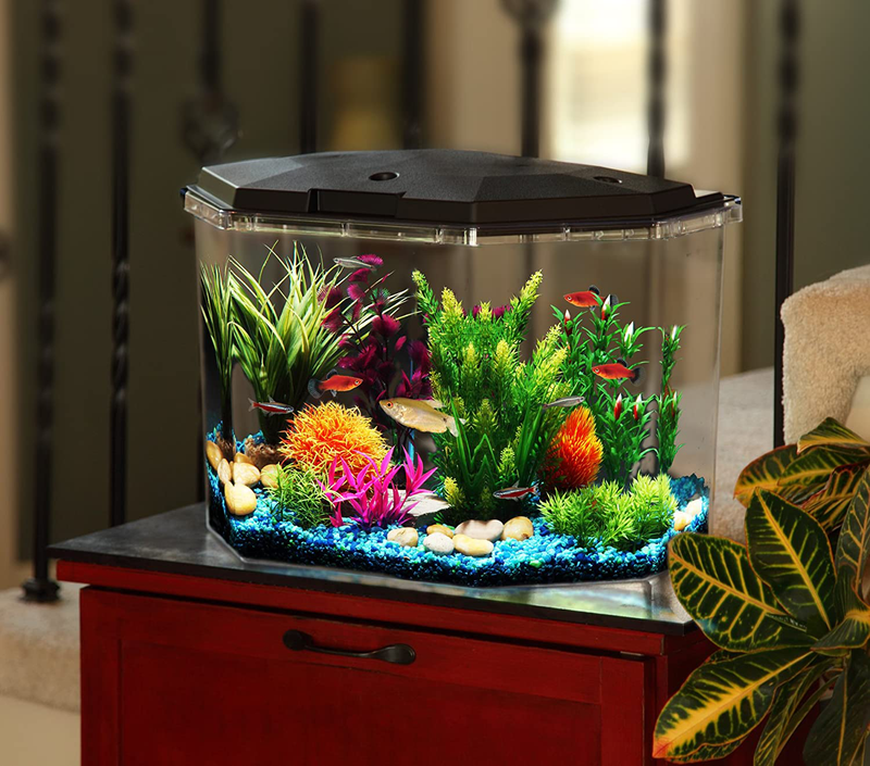 Koller Products 6.5-Gallon Aquarium Kit with Power Filter and LED Lighting, (AP650) Animals & Pet Supplies > Pet Supplies > Fish Supplies > Aquariums Koller Products   