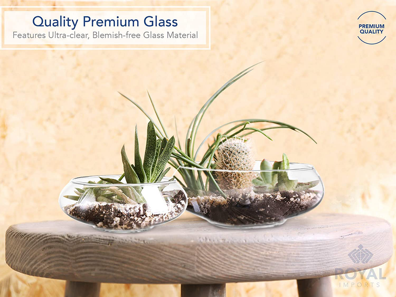 Royal Imports Flower Glass Vase, Bowl Terrarium Succulent Planter, Air Plant Display, Decorative Centerpiece Floral Container for Home or Wedding Set of 2, Clear Home & Garden > Decor > Vases Royal Imports   