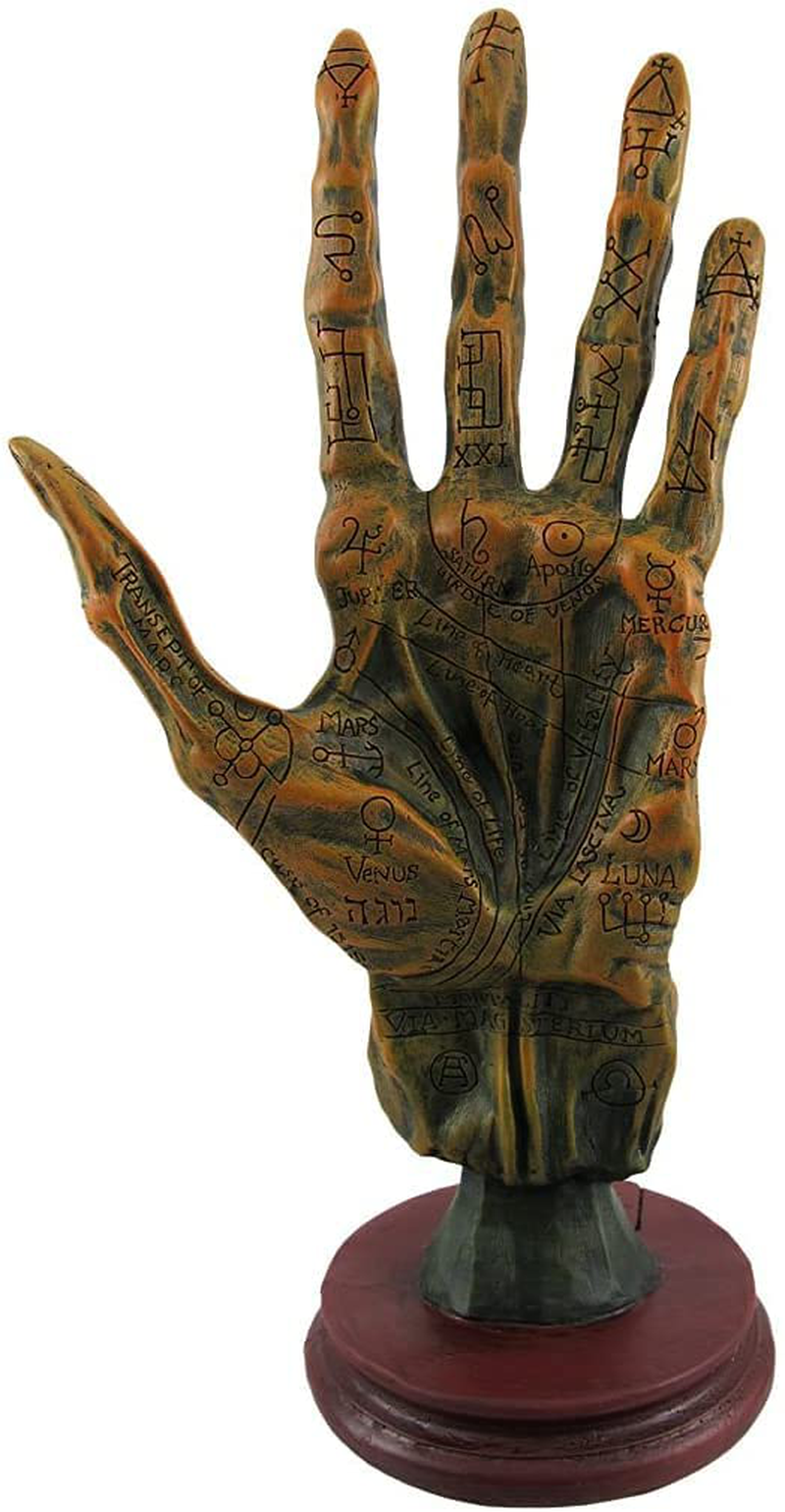 Things2Die4 Alchemy Mummified Palmistry Hand Gothic Home & Garden > Decor > Artwork > Sculptures & Statues Things2Die4 Default Title  