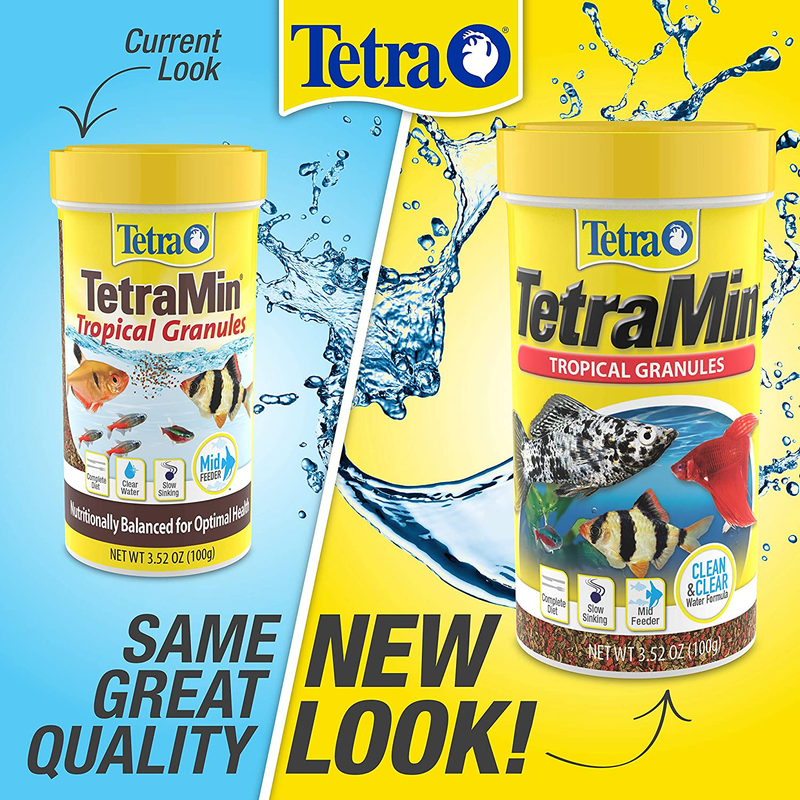 TetraMin Tropical Granules Nutritionally Balanced for Small Fish Animals & Pet Supplies > Pet Supplies > Fish Supplies > Fish Food Tetra   