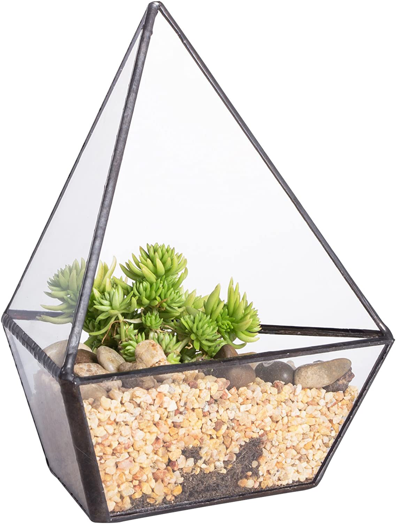 NCYP 3.93 inches Geometric Decorative Terrarium Cube Inclined Clear Glass Planter Tabletop Black Small Air Plant Holder Display Box Succulent Moss Flower Pot Containers DIY Centerpiece (No Plants) Animals & Pet Supplies > Pet Supplies > Reptile & Amphibian Supplies > Reptile & Amphibian Habitats Zhongpengcheng 3 Sides  