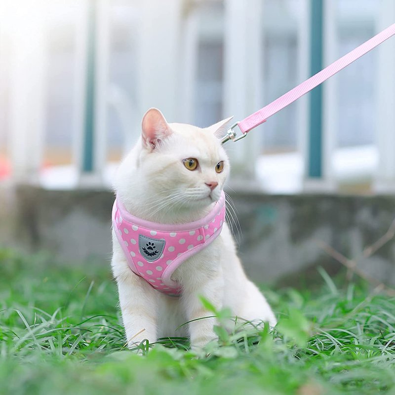 SCENEREAL Durable Cat Harness with Leash Set Adjustable Dot Pattern Harness Free Choke Harness for Puppy and Cat Wearing
