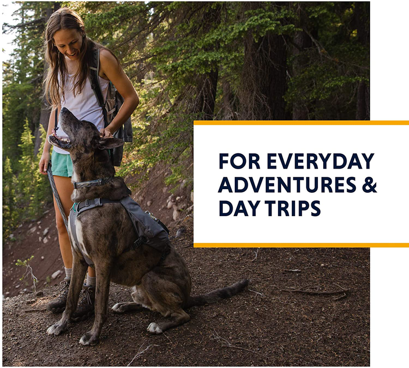 RUFFWEAR, Switchbak Dog Harness, Pack & Harness Hybrid for Day Trips & Everyday Use Animals & Pet Supplies > Pet Supplies > Dog Supplies Ruffwear   
