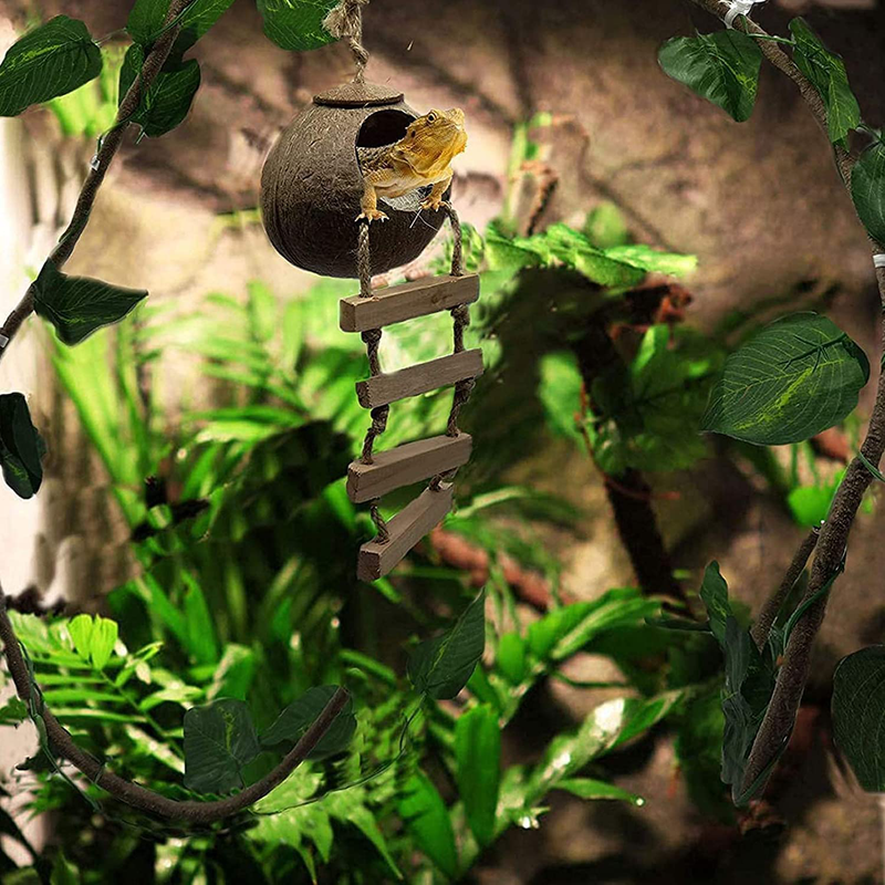 kathson Lizard Coco Den Gecko Coconut Husk Hut with Ladder Reptile Terrarium Plants Decor Hanging Lizards Hideouts Habitat Climbing Decorations Jungle Climber Vines for Chameleon 5 Pack Animals & Pet Supplies > Pet Supplies > Reptile & Amphibian Supplies kathson   