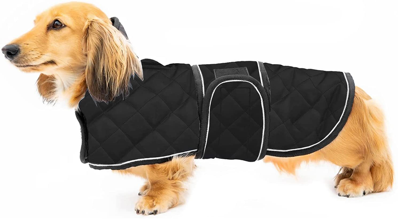Geyecete Warm Thermal Quilted Dachshund Coat, Dog Winter Coat with Warm Fleece Lining, Outdoor Dog Apparel with Adjustable Bands for Medium, Large Dog Animals & Pet Supplies > Pet Supplies > Dog Supplies > Dog Apparel Geyecete Black Large 