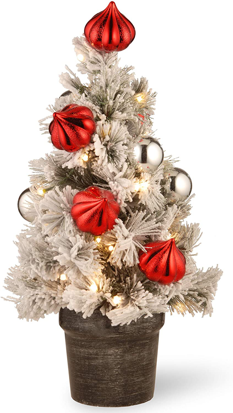 National Tree Company lit Artificial Christmas Tree | Includes Pre-Strung LED Lights and Stand | Snowy Bristle Pine-2 ft Home & Garden > Decor > Seasonal & Holiday Decorations > Christmas Tree Stands National Tree Company 2 Ft  