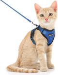 Dooradar Cat Leash and Harness Set, Escape Proof Safe Breathable Cat Vest Harness for Walking , Easy Control Soft Adjustable Reflective Strips Mesh Jacket for Cats, Pink, XS (Chest: 13.5” -16.0”) Animals & Pet Supplies > Pet Supplies > Cat Supplies > Cat Apparel Dooradar Blue Small (Pack of 1) 