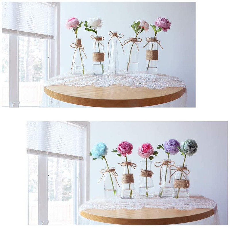 Nilos Glass Vases Set of 10, Clear Glass Flower Vase with Rope Design and Differing Unique Shapes for Home Decoration Home & Garden > Decor > Vases Nilos   