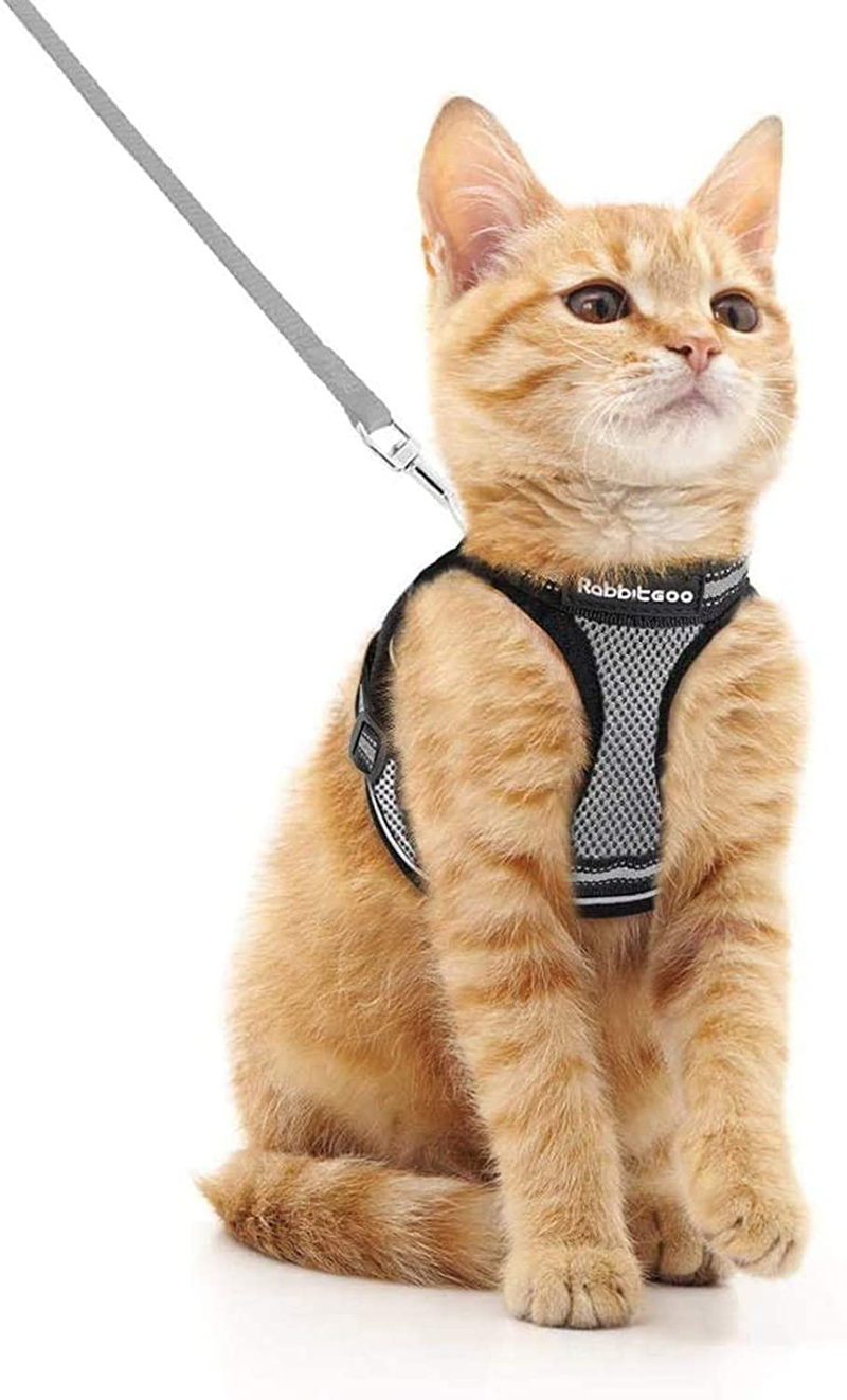 rabbitgoo Cat Harness and Leash Set for Walking Escape Proof, Adjustable Soft Kittens Vest with Reflective Strip for Cats, Comfortable Outdoor Vest, Black, S (Chest:9.0"-12.0") Animals & Pet Supplies > Pet Supplies > Cat Supplies > Cat Apparel rabbitgoo Grey Medium 
