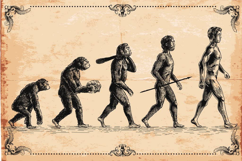 Human Evolution Concept Vintage Illustration Cool Wall Decor Art Print Poster 18X12 Home & Garden > Decor > Artwork > Posters, Prints, & Visual Artwork Poster Foundry Multi-color / 1804 Poster 18x12 in. 